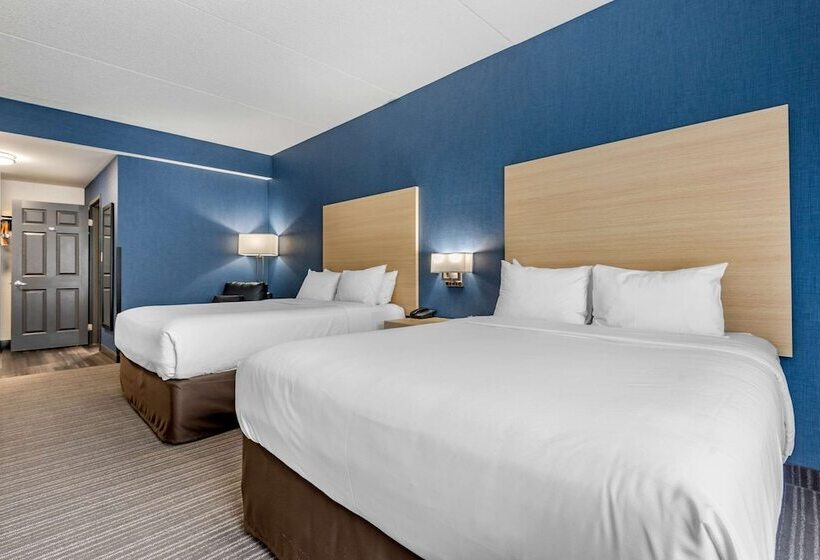 酒店 Quality Inn & Suites