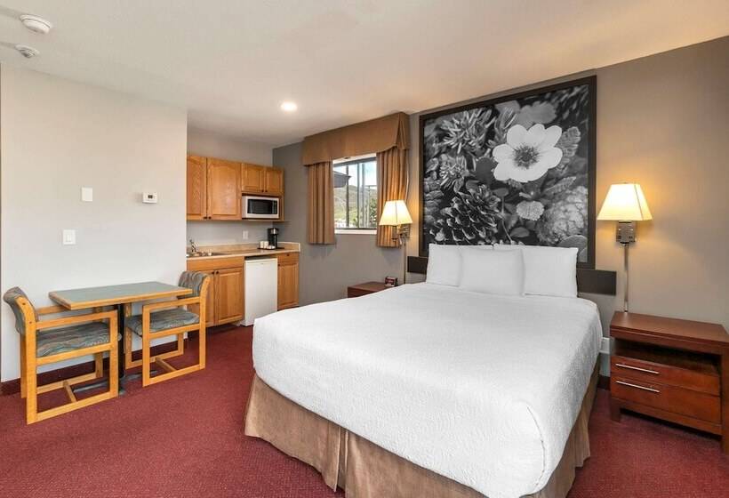 Hotel Quality Inn & Suites
