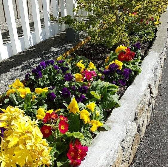 هتل The Cedarwood Inn & Suites