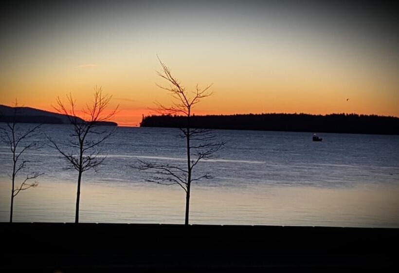 هتل The Cedarwood Inn & Suites