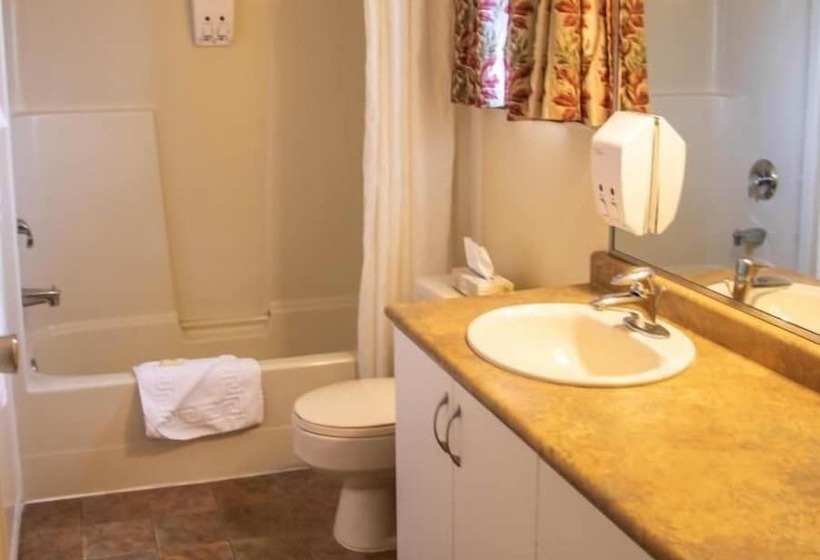 هتل The Cedarwood Inn & Suites