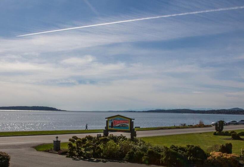 هتل The Cedarwood Inn & Suites