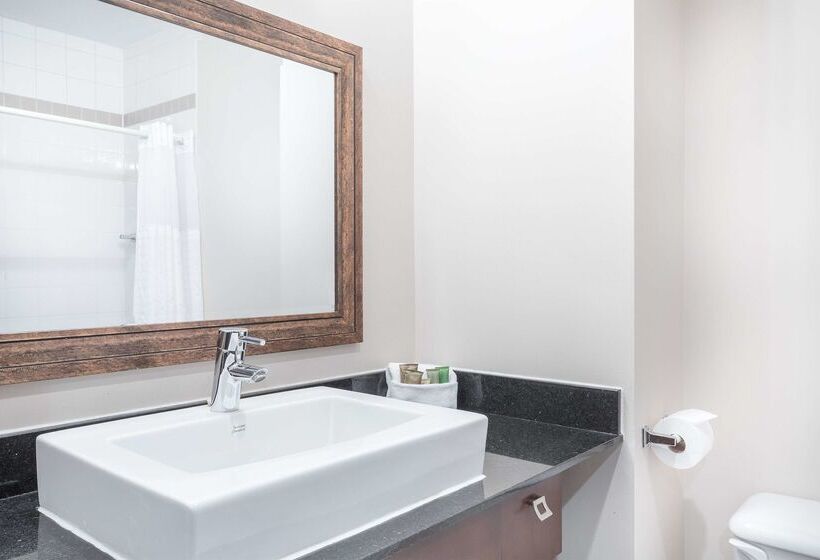 فندق Ambassadeur Et Suites