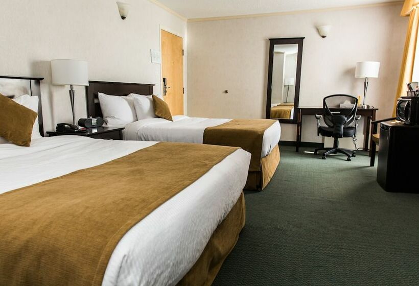 ホテル Coast High Country Inn