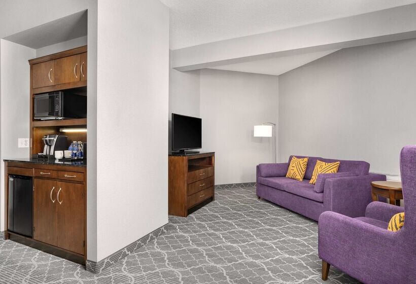 בית מלון כפרי Hilton Garden Inn Calgary Airport