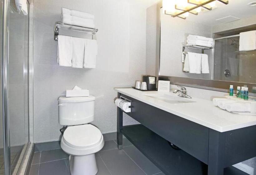 هتل Holiday Inn Express And Suites Calgary, An Ihg