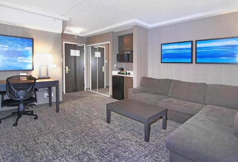 هتل Holiday Inn Express And Suites Calgary, An Ihg