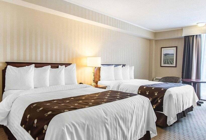 ホテル Quality Inn & Suites Downtown