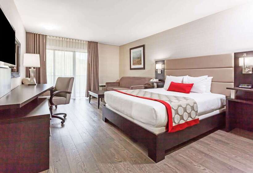 ホテル Ramada By Wyndham Ottawa On The Rideau