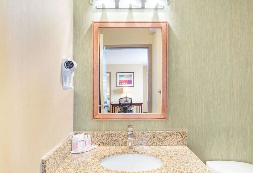 בית מלון כפרי Ramada By Wyndham Williams Lake