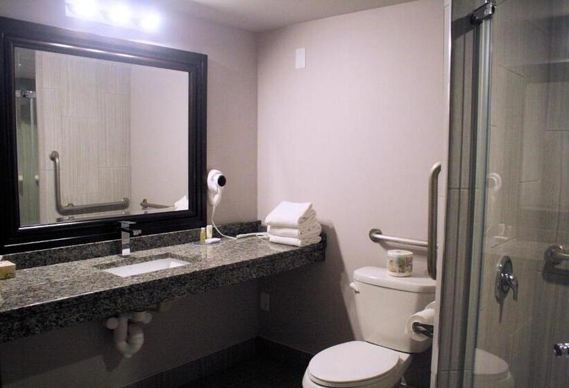 هتل Days Inn By Wyndham Sudbury & Conference Centre