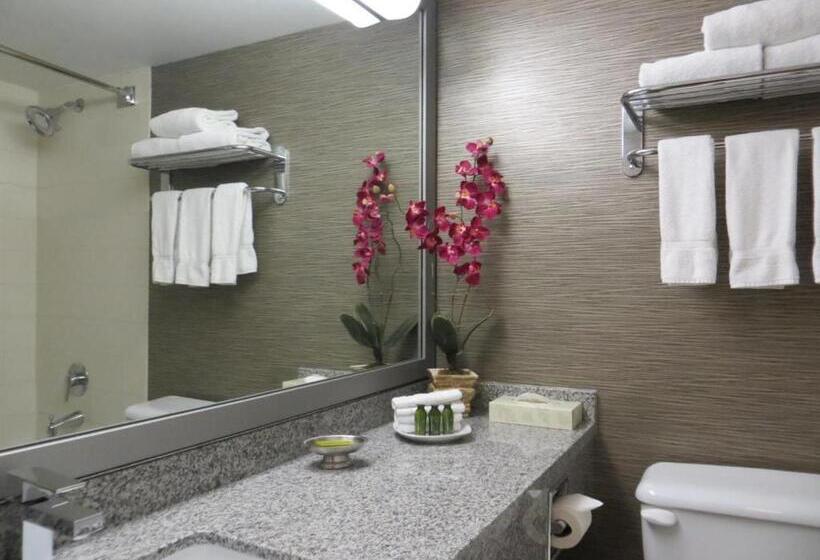 Toronto Don Valley Hotel And Suites