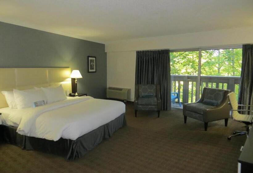 Toronto Don Valley Hotel And Suites