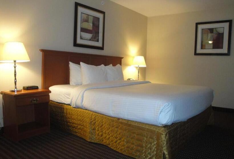Отель All Stay Suites