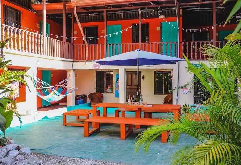 Hotel Blue Iguana