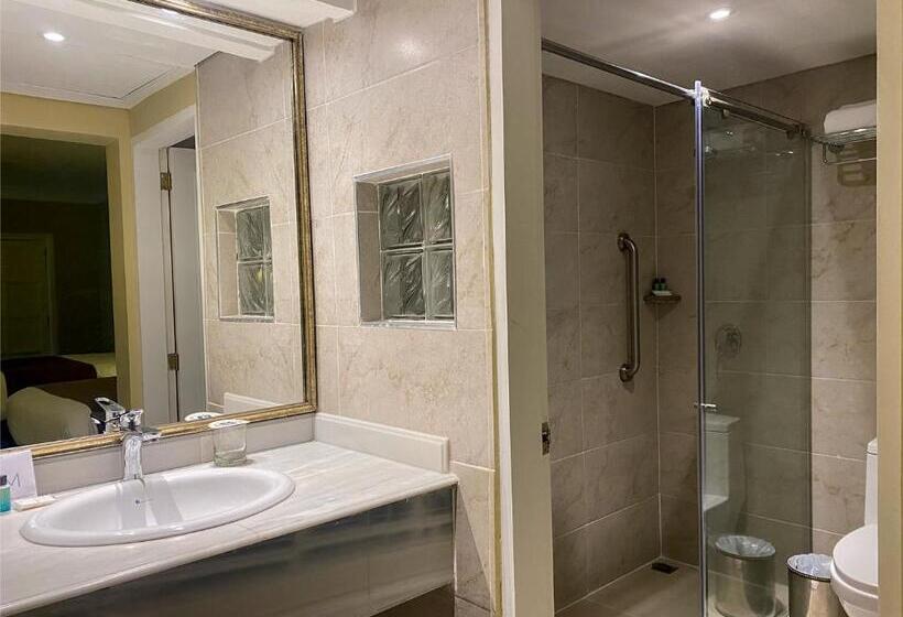 Fotos del hotel El Prado:  13
