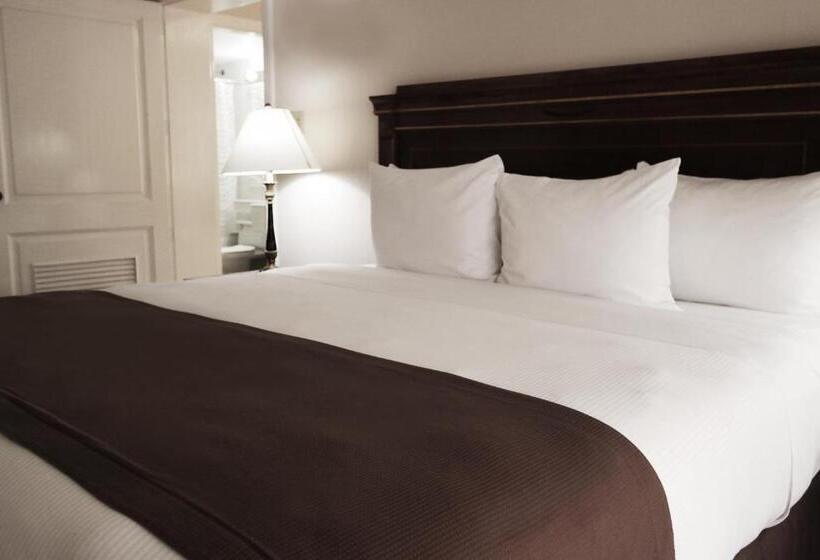 Fotos del hotel El Prado:  4