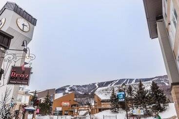 هتل Hebergement Montsteanne Condos