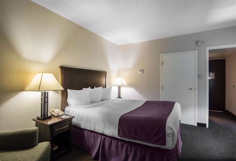 ホテル Quality Inn & Suites Yellowknife
