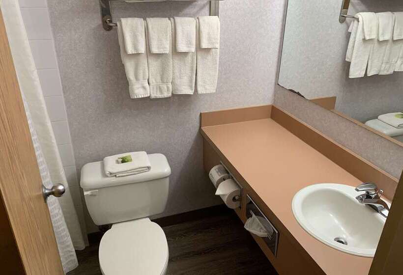 فندق Rodeway Inn