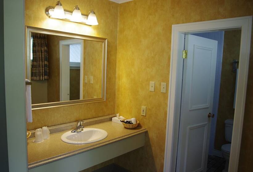 هتل Silver Dart Lodge