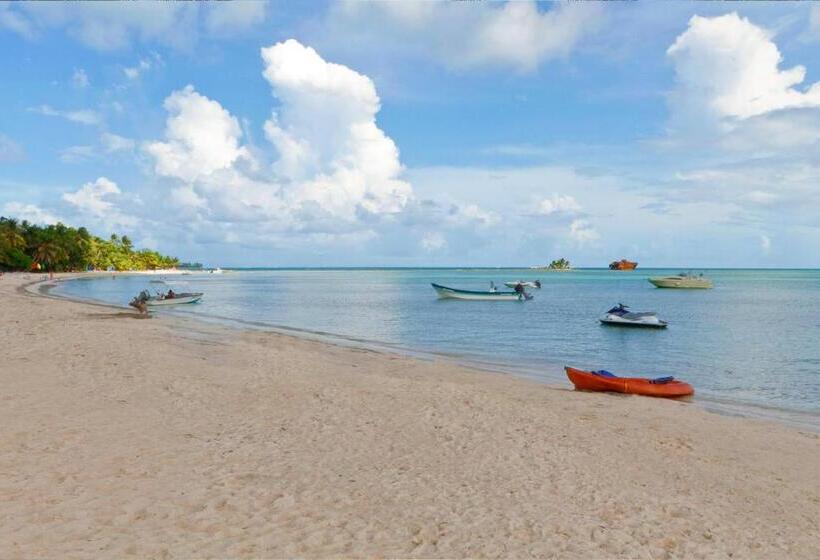 هتل Sol Caribe Campo