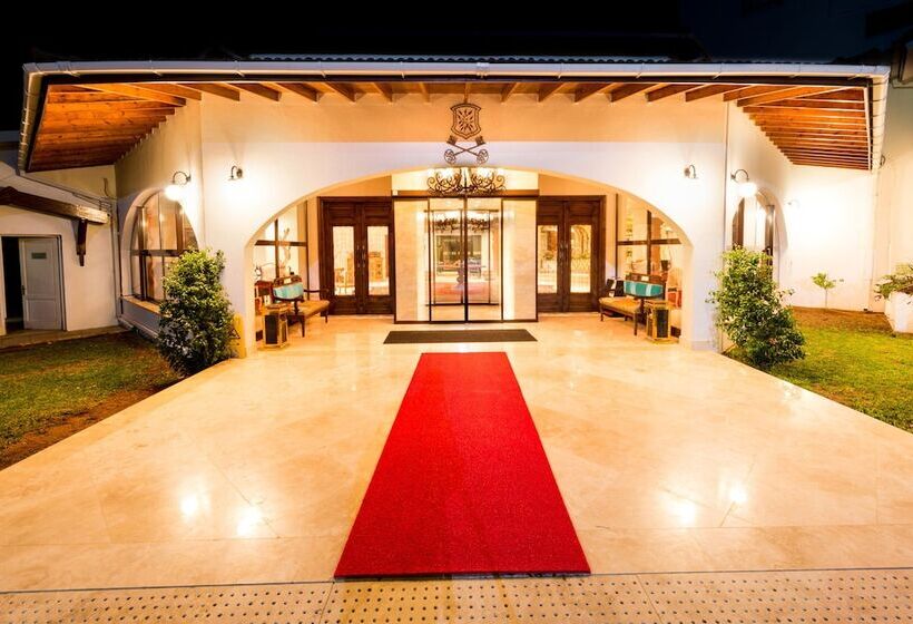 هتل The Olive Tree