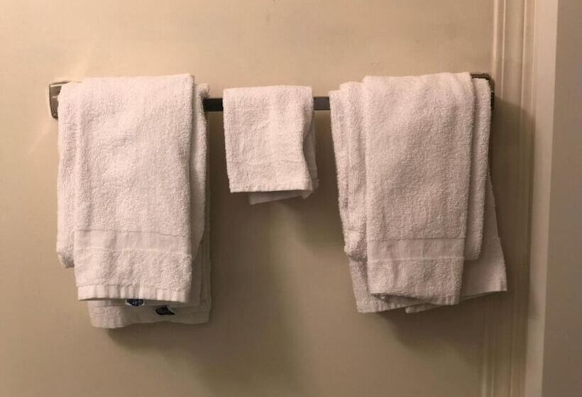 בית מלון כפרי Westwind Motor Inn