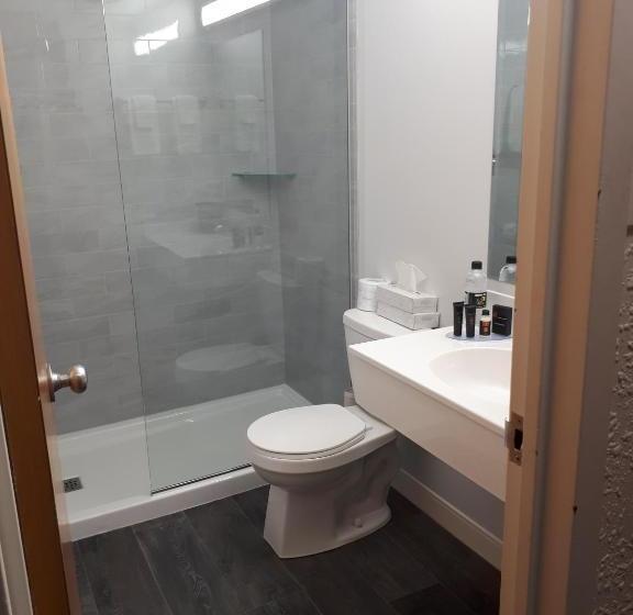 هتل Westwood Inn  And Indoor Water Park