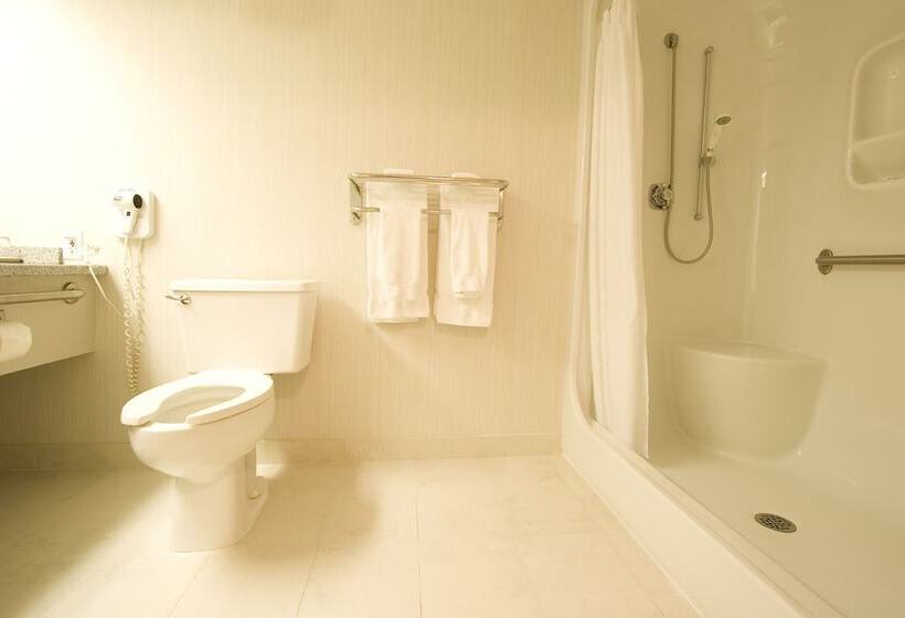 Отель Woodlands Inn & Suites