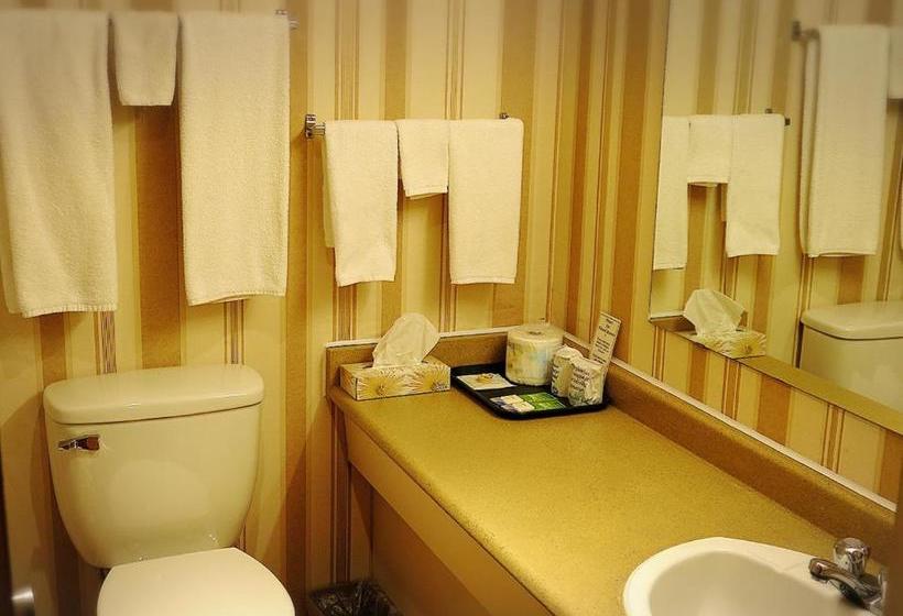 מוטל Town Centre Inn