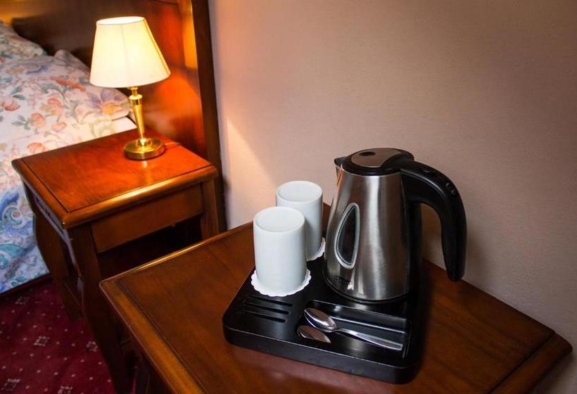 Fotos del hotel Dalimil:  4