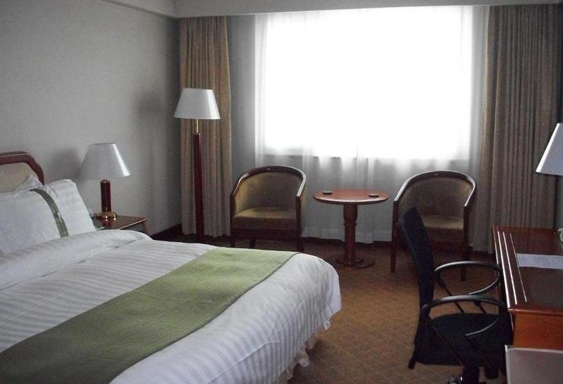 호텔 Holiday Inn City Centre Harbin