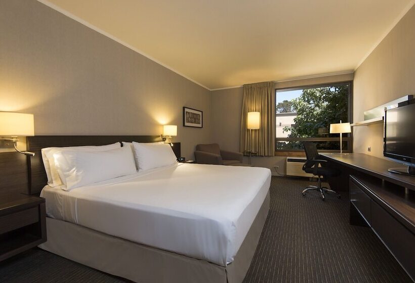 فندق Holiday Inn Express Temuco