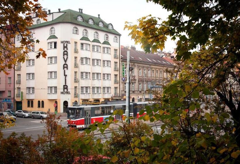 Fotos del hotel Kavalir:  12