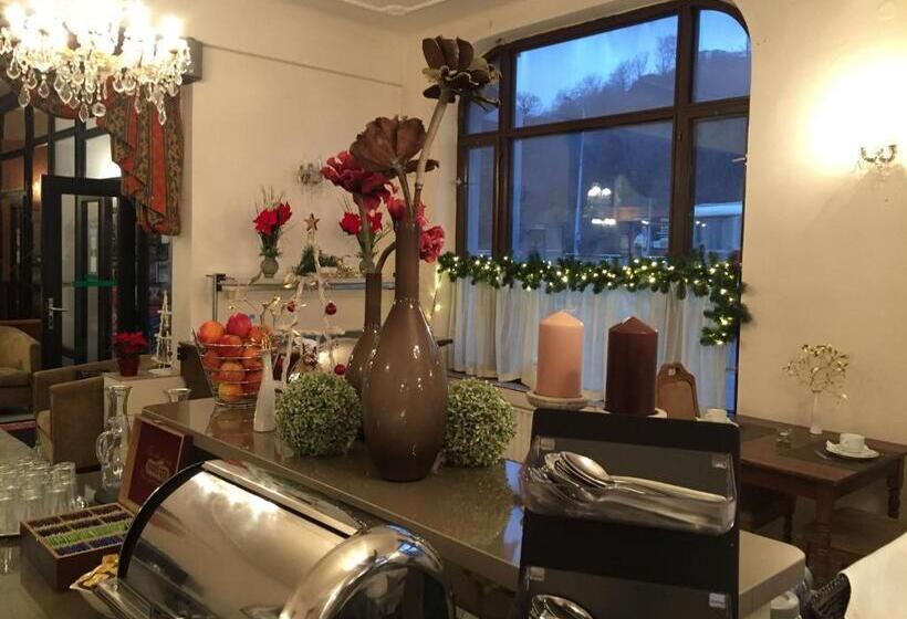 Fotos del hotel Kavalir:  11