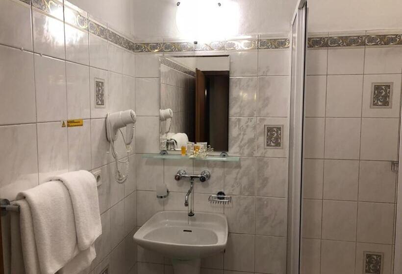 Fotos del hotel Kavalir:  6