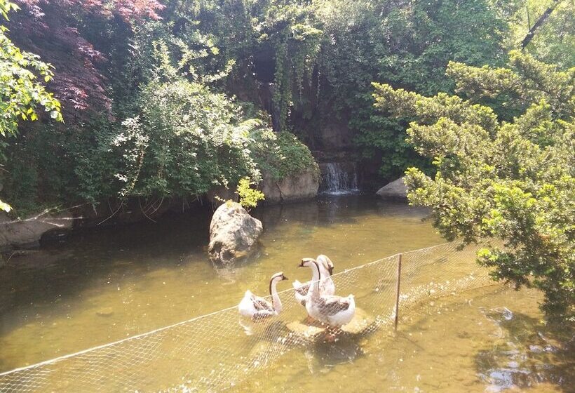 Fotos del hotel Dalian Nanshan Garden:  6