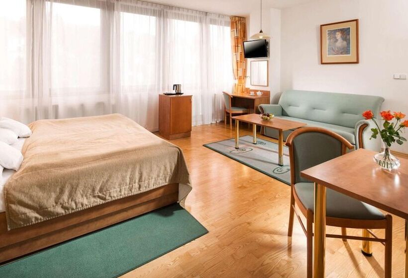 酒店 Vladimir ústí Nad Labem