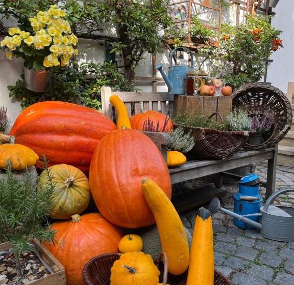 Fotos del hotel Romantik  U Raka:  49