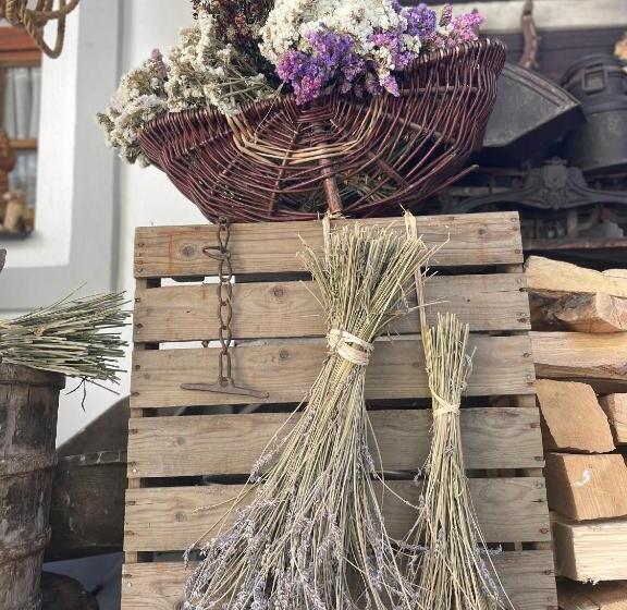 Fotos del hotel Romantik  U Raka:  19