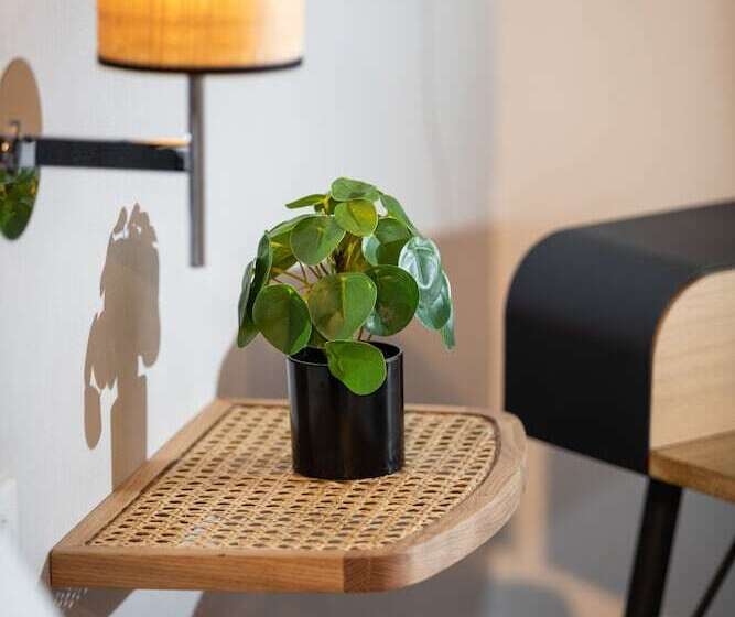 Fotos del hotel Hôtel Axotel Lyon:  24