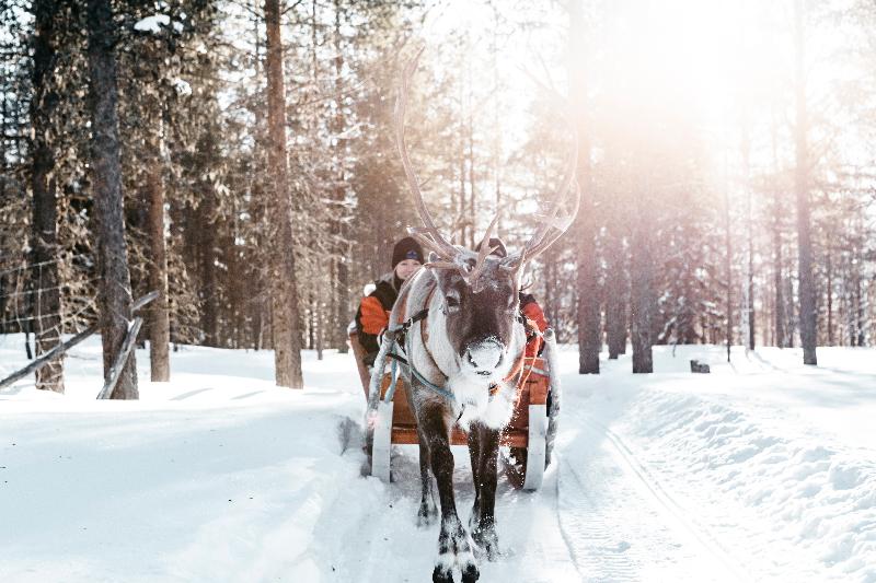 ホテル Lapland S Sirkantahti