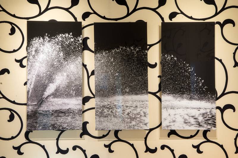 Fotos del hotel Etoile Park:  14