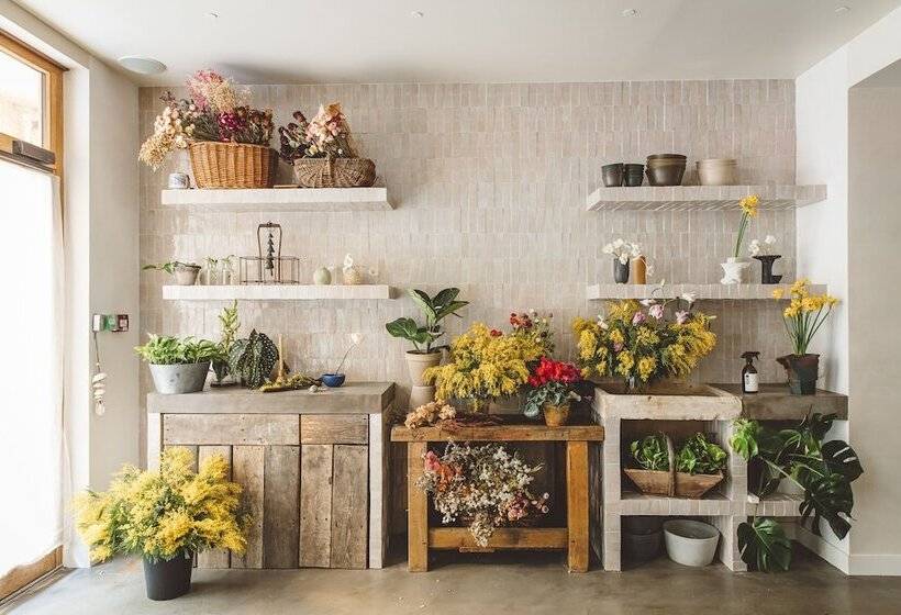 Fotos del hotel Caravelle:  45