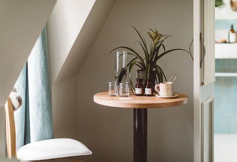 Fotos del hotel Caravelle:  8