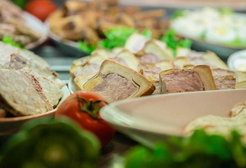 Logis Hotel Lons Le Saunier Restaurant Le Grill