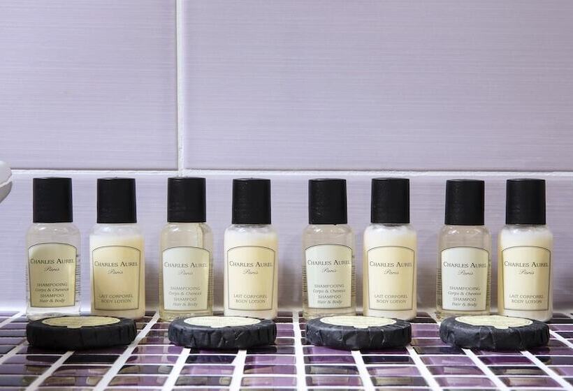 Fotos del hotel Hôtel Du Plat D'etain:  21