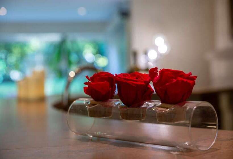هتل Hôtel Les Trois Roses, Meylan Grenoble The Originals Boutique