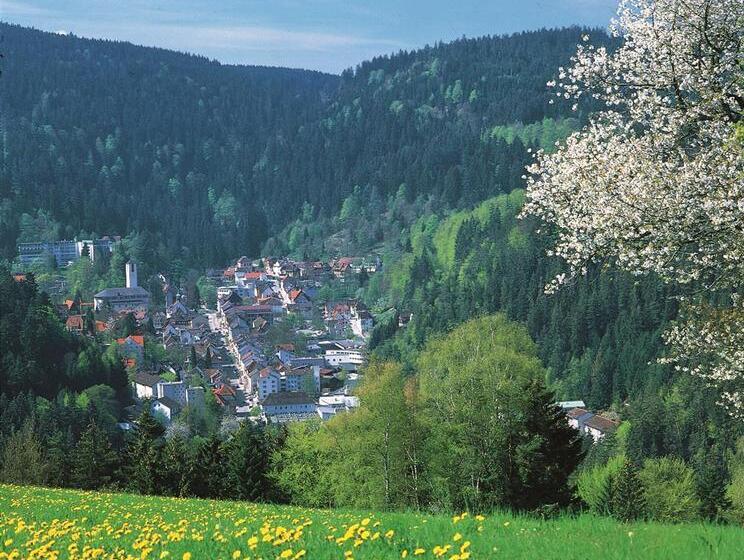 호텔 Best Western Plus Schwarzwald Residenz